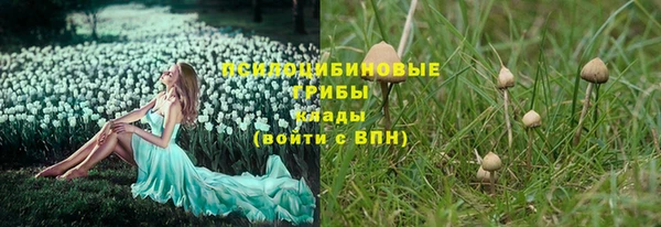 спайс Алзамай