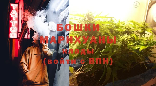 спайс Алзамай