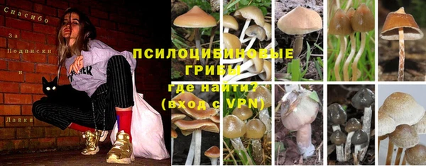 метадон Алексеевка